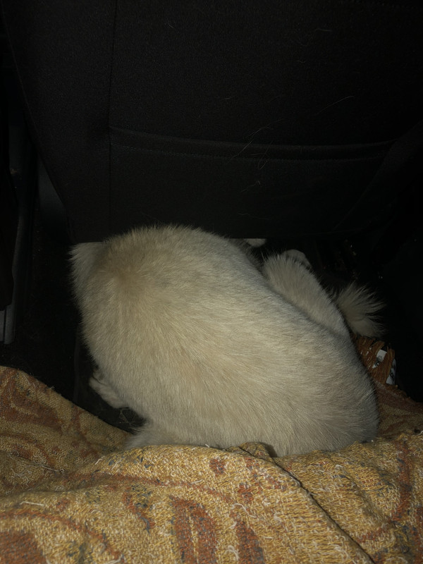 E1762BC9-F5BD-4FC6-8A4E-45B820A673E7