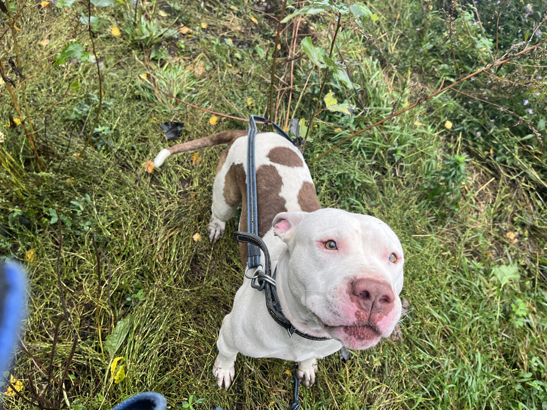 80F8DE28-9476-4A70-B860-EF4F121C36B2