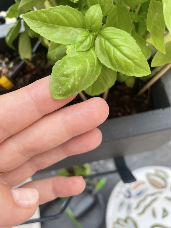 01FB8981-3154-4ED3-AC68-DB5015E6FE23