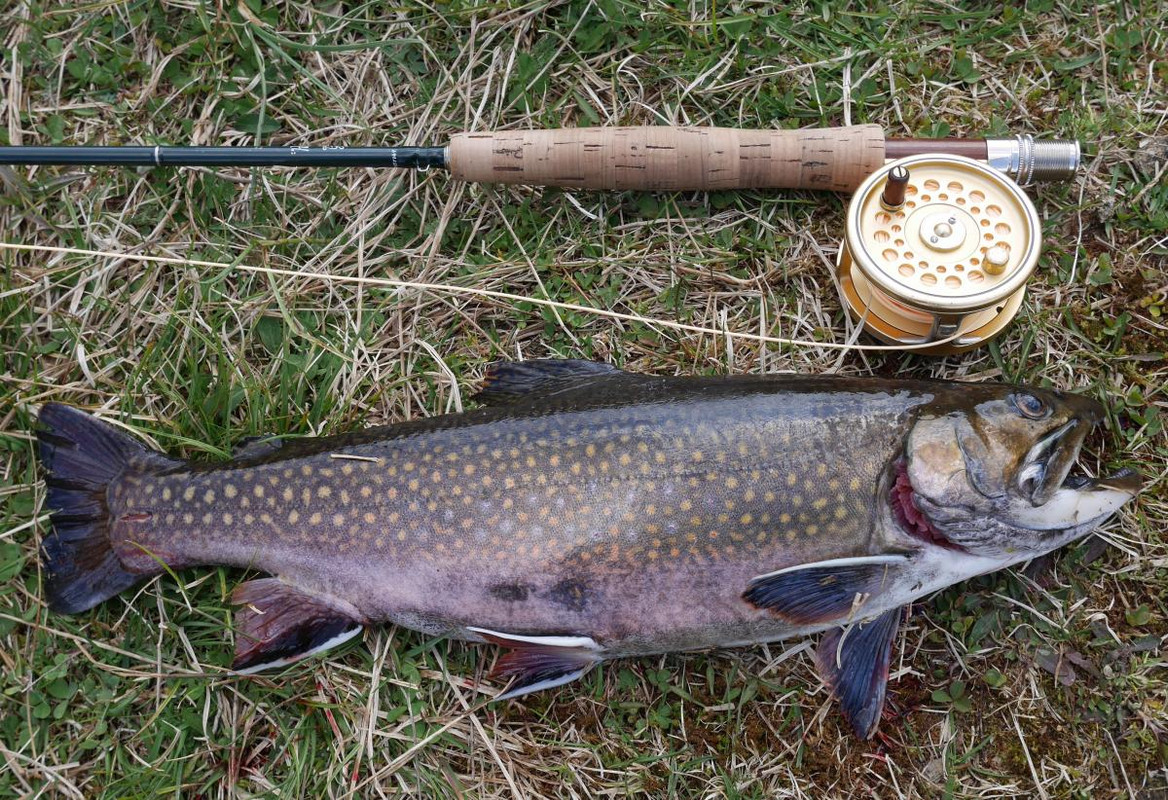 post-11411-0-41707500-1398925219