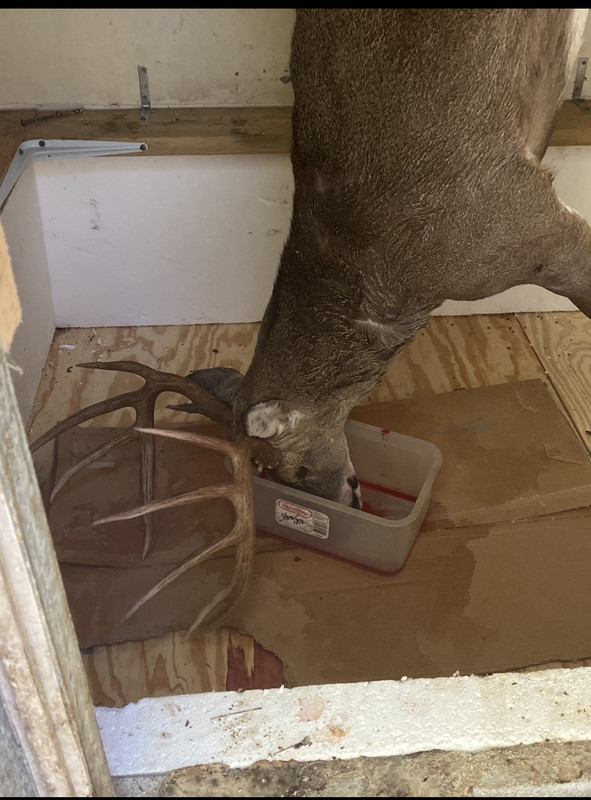 AEE08A5C-2521-4CE5-8759-C94211244E22