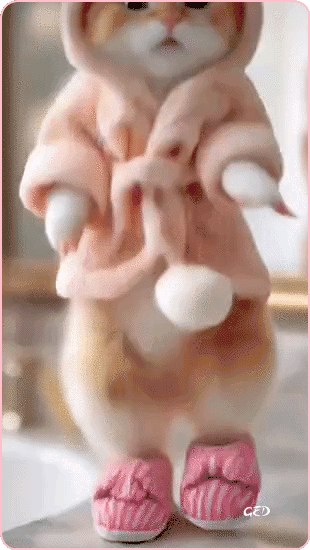 070326-chat-roux-peignoir