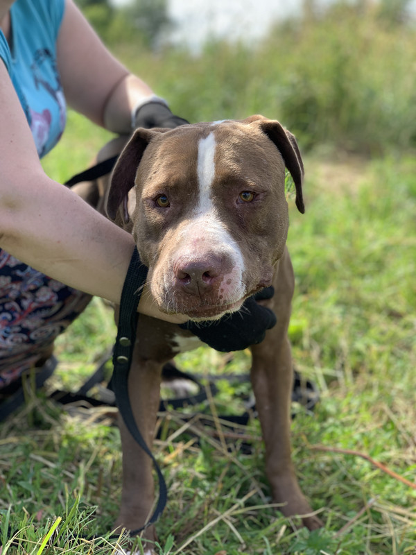 E6101A44-BF1E-4EB3-BF6C-11FF7FB2A590