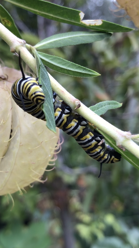 6CB73358-6ECD-4C2A-804D-59373BE993F5