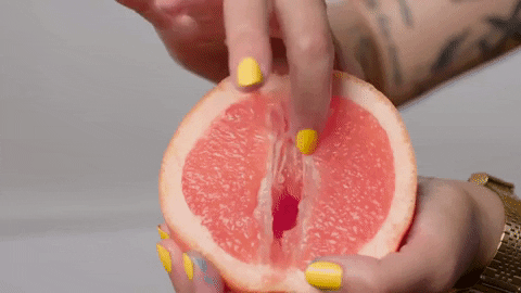 giphy-1.gif