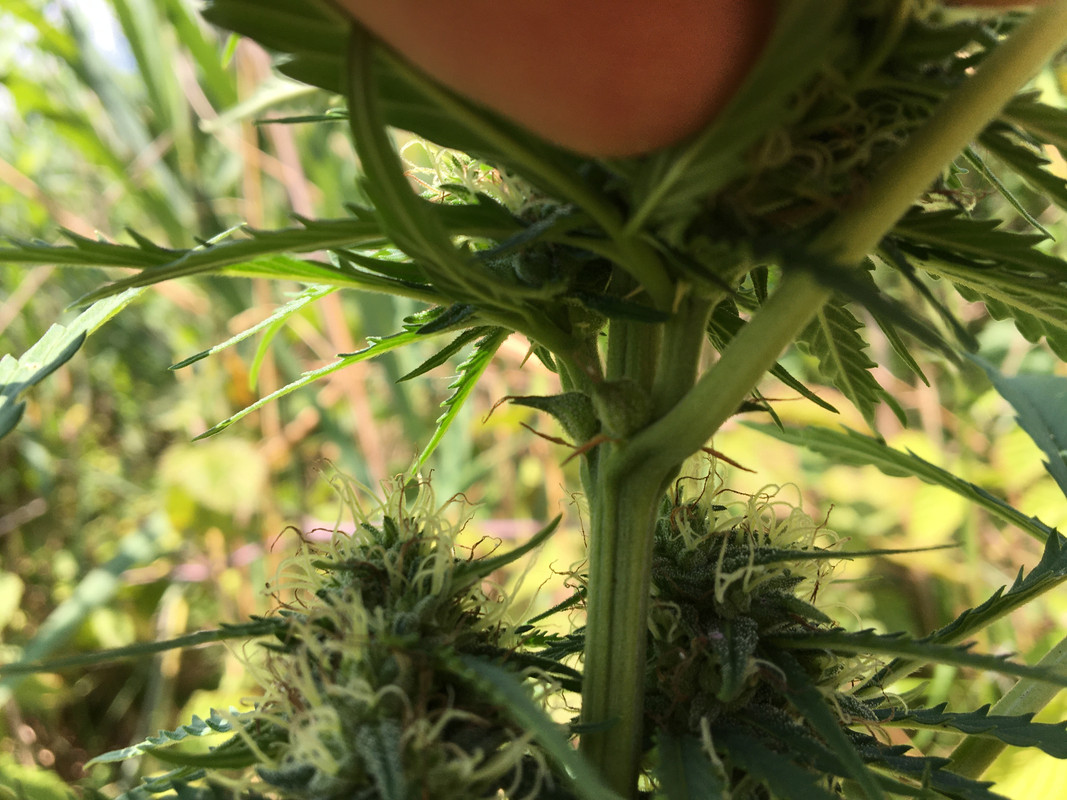 5DEBCD3F-9AC2-4797-B612-034DE237CA2A