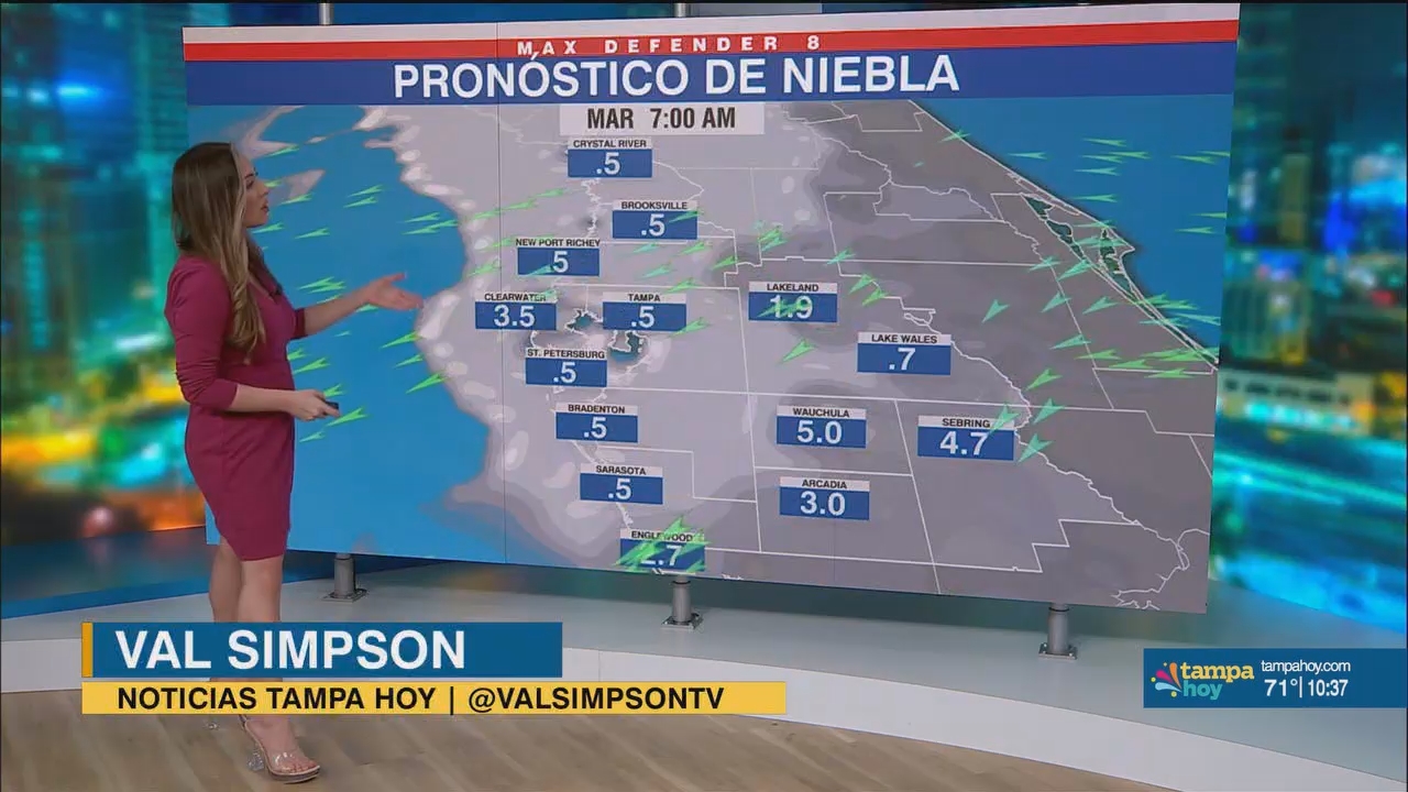 Noticias Tampa Hoy_20241217_03300400.ts_snapshot_08.29.014