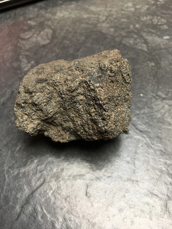 B56FCC1D-D169-483A-9D76-B76D67807563