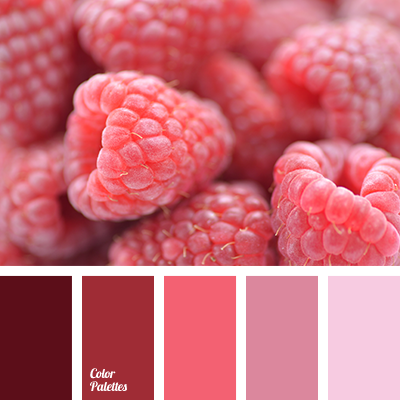 Color Palette #1976