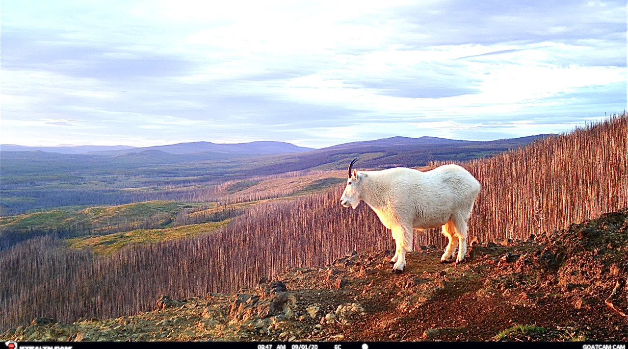 E8D2A5E1-F293-49C0-842D-B1571B9A3DDF