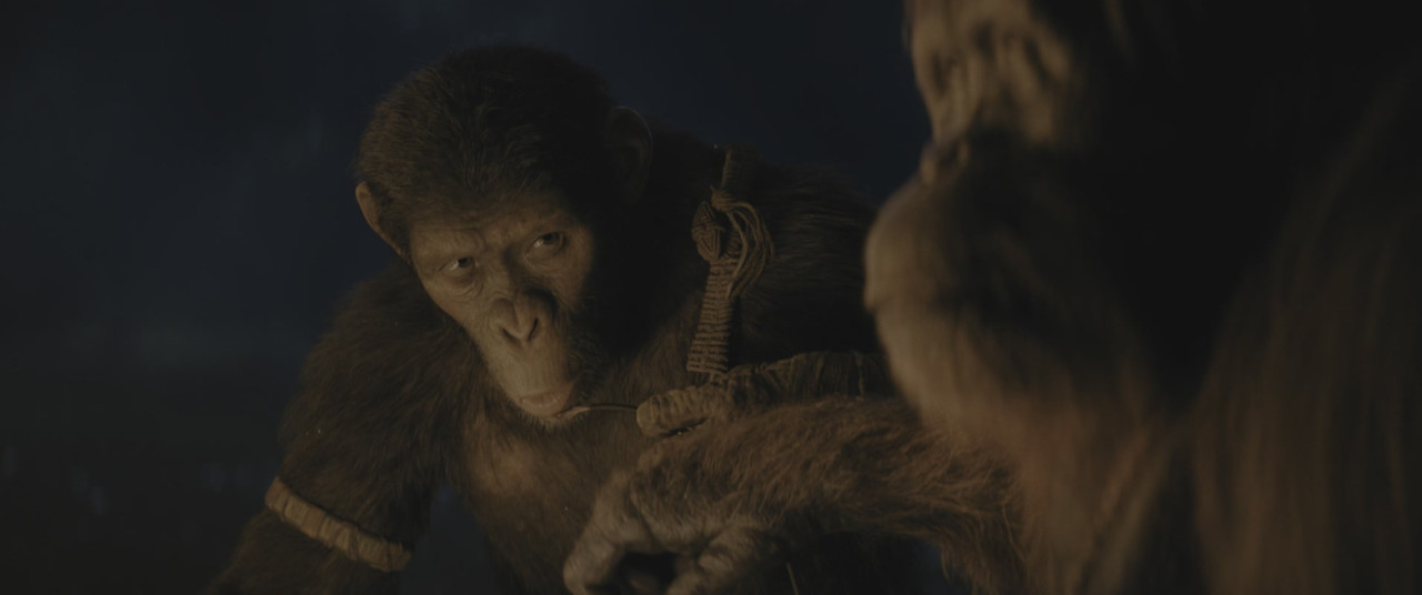 Il regno del pianeta delle scimmie (2024) .mkv 2160p DV HDR WEB-DL DDP 5.1 iTA ENG H265 - FHC.mkv_20