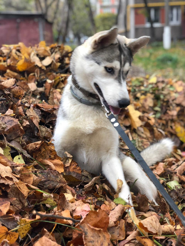 WhatsApp Image 2019-07-17 at 20.35.54(1)