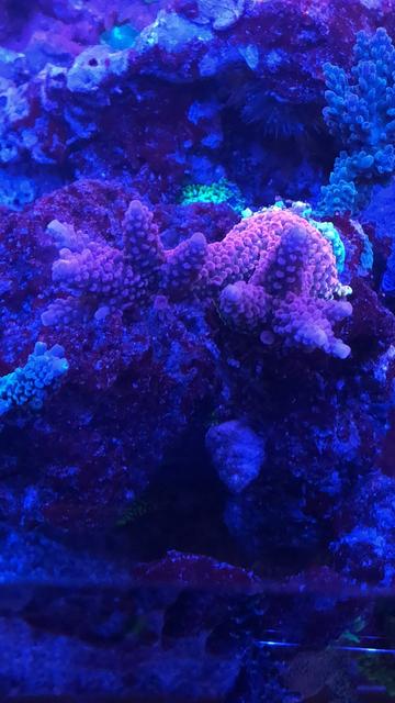 8C25CDDB-B157-4AF4-A487-A9C59D3DC934