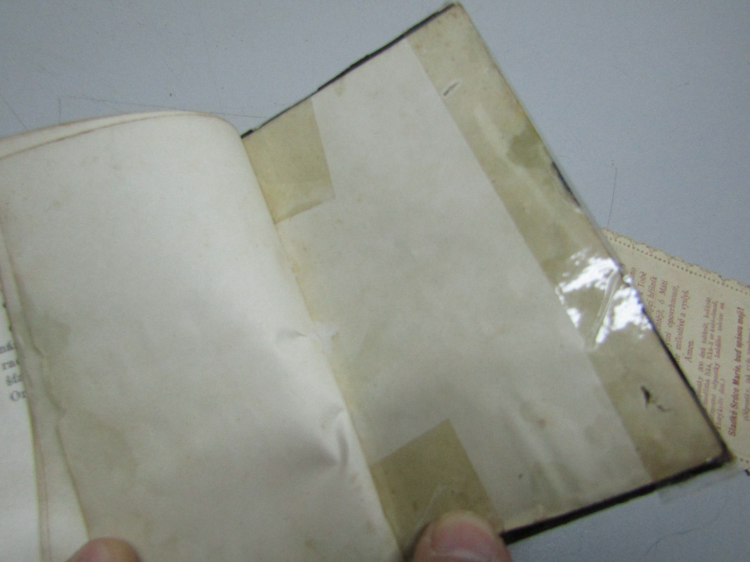 IMG 9278 — Postimages