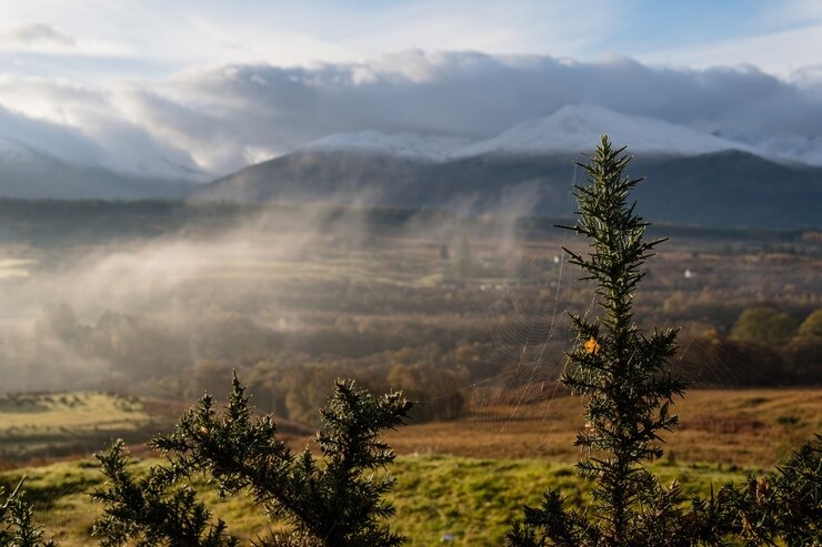 Great Smoky Mountains