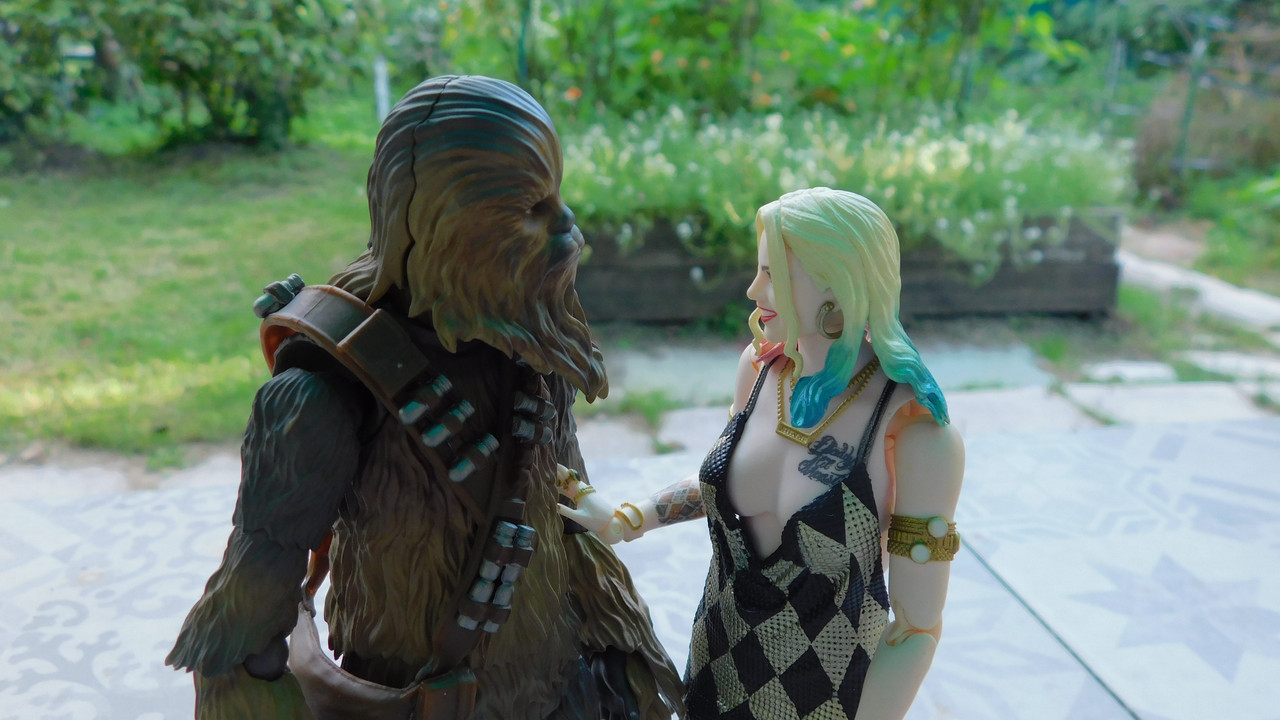 Дачно-барбейское июль, Харлинское 2-я серия 198