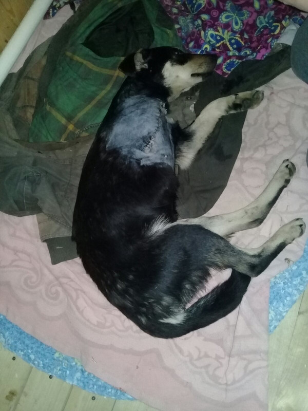 EC6C9DFC-A960-4051-8447-E31520147F01