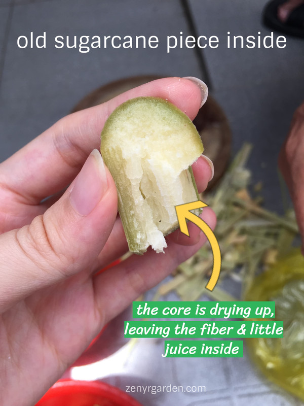 old-sugarcane-piece.jpg