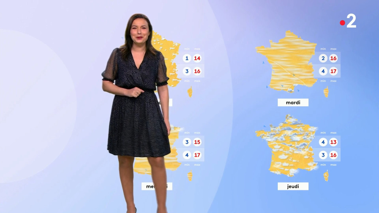 2021-02-25_12_50_Fr2_Meteo.mp4_snapshot_12.17.796