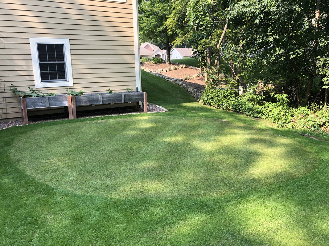 646E4625-9383-47C8-B953-400CB3E641E8