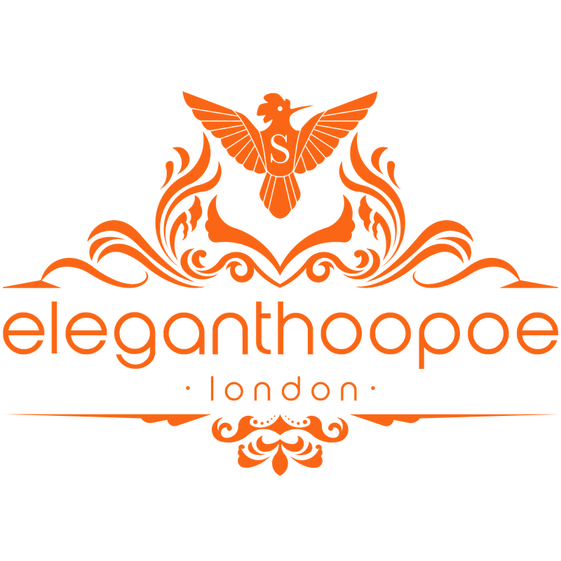 elegant hoopoe