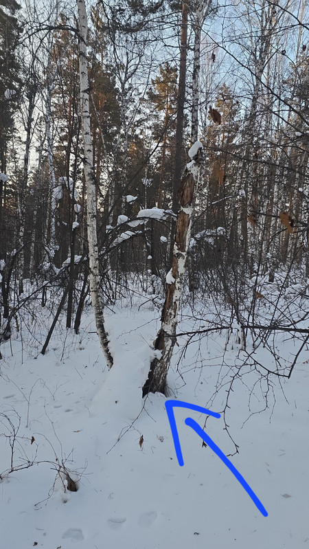 IMG2 07022026 085912