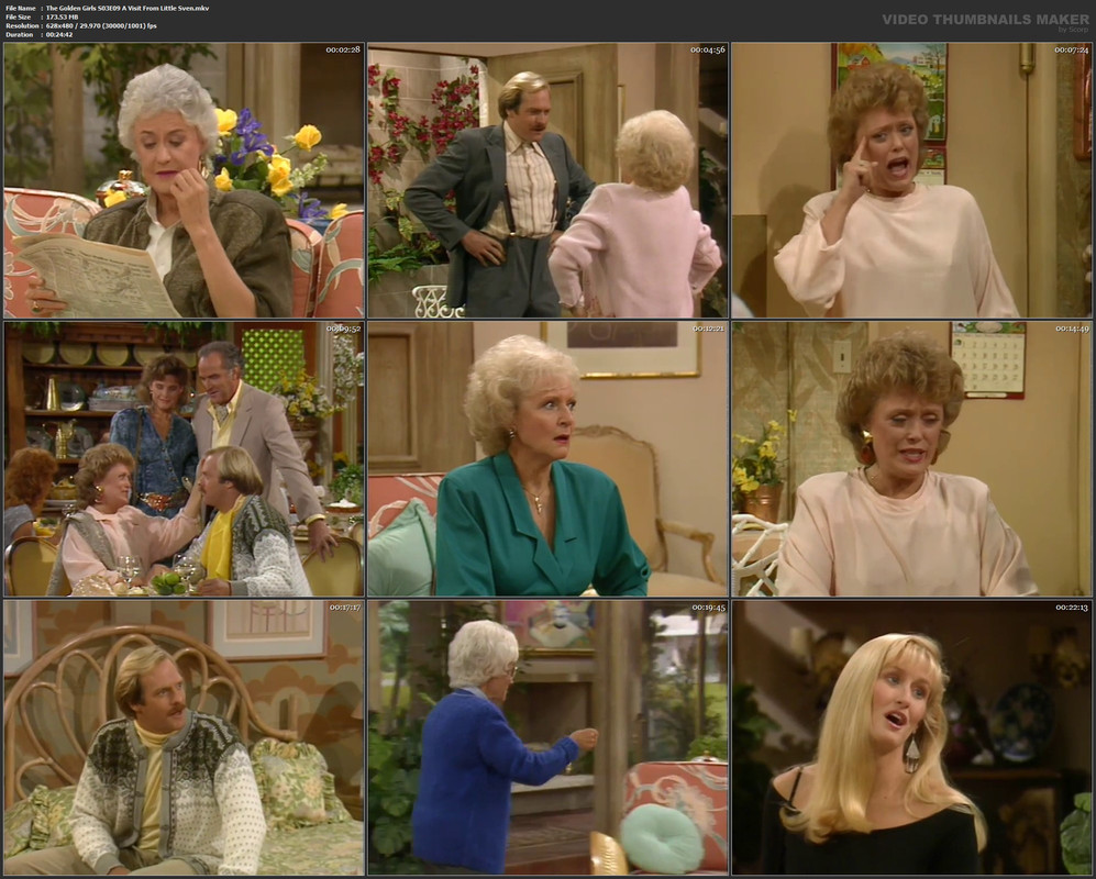 The Golden Girls S03E09 A Visit From Little Sven.mkv