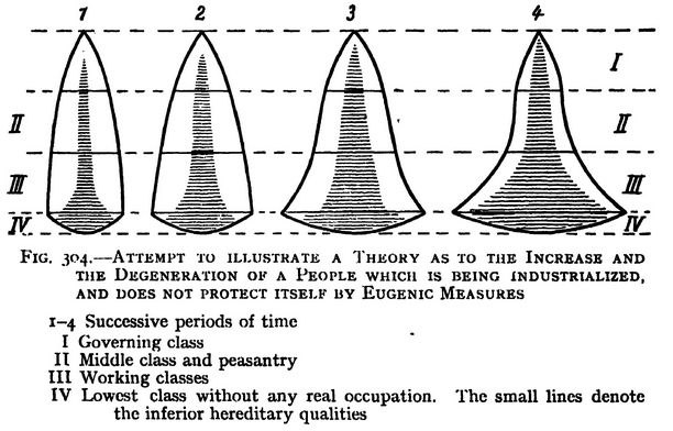 IMG 20251206 233303 754