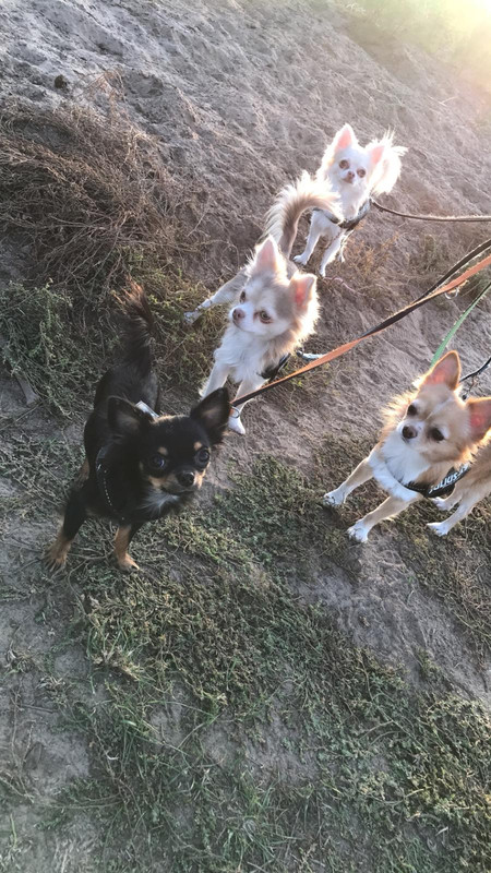 110F9427-1468-4BA1-B154-844E5353AD5E