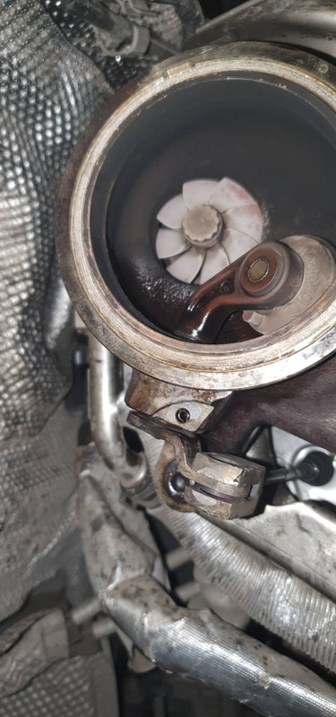 69174179_2366857106870865_8468692943748726784_n