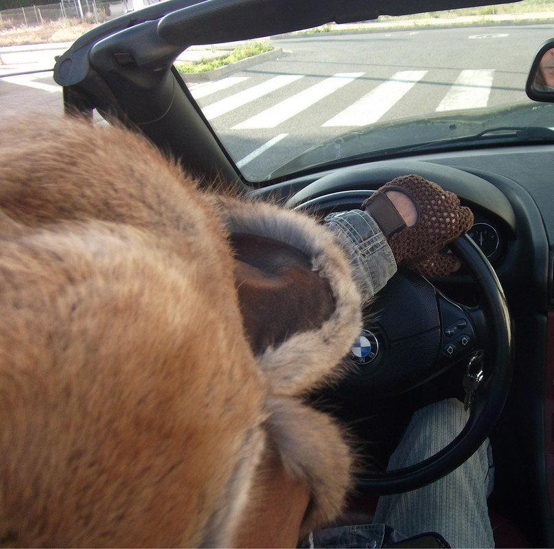 Imagen_047a.jpg