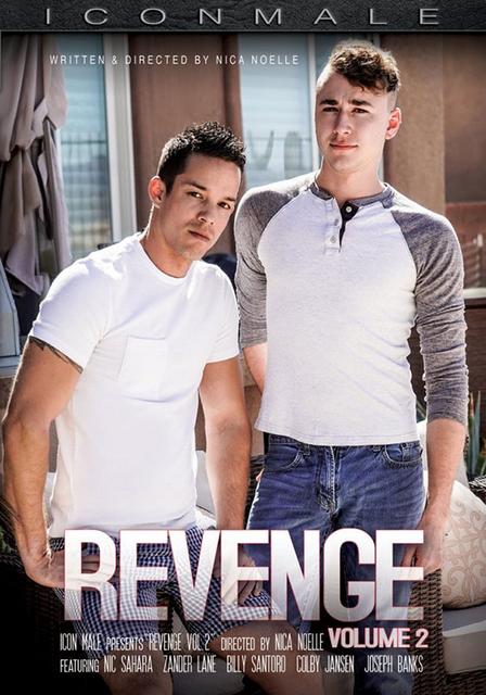 Revenge vol.2