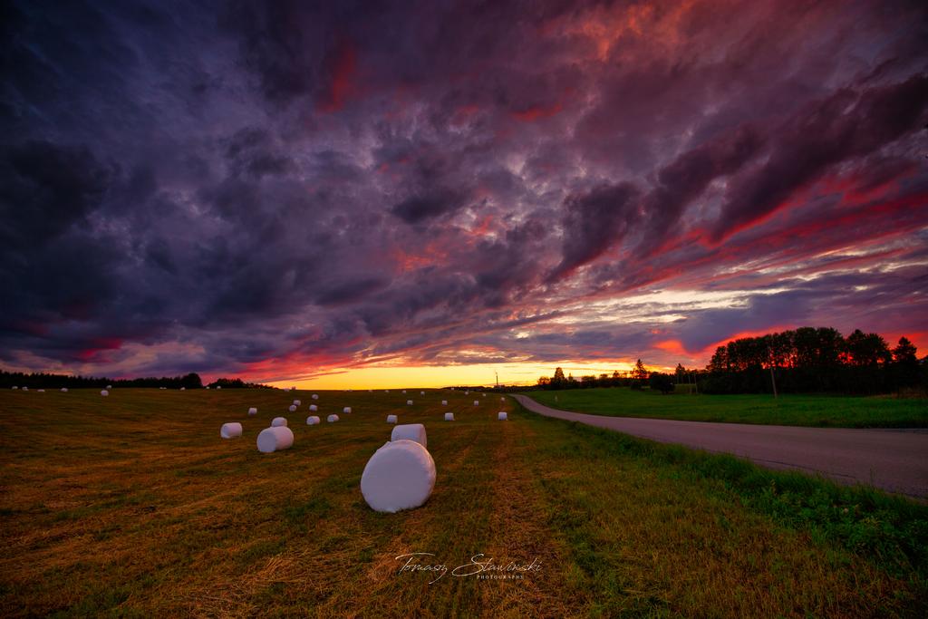 IMG-3786-Edit.jpg