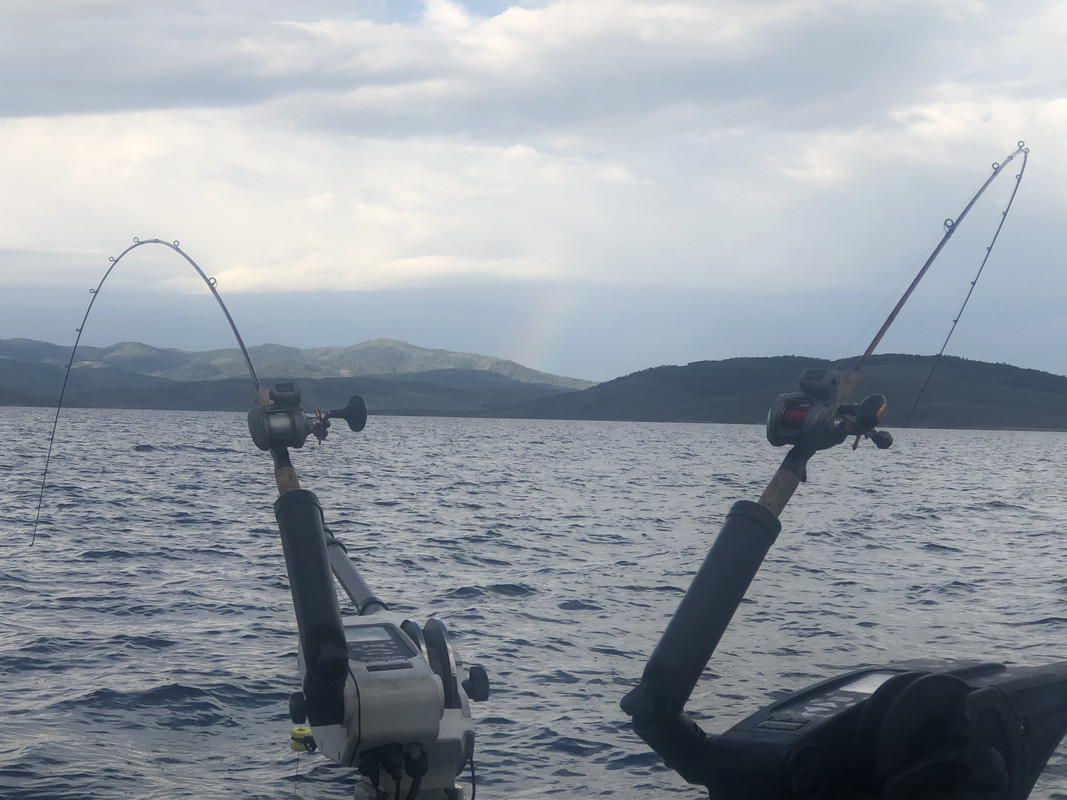 39C55F26-50BF-4F2C-9792-05C069890FEF