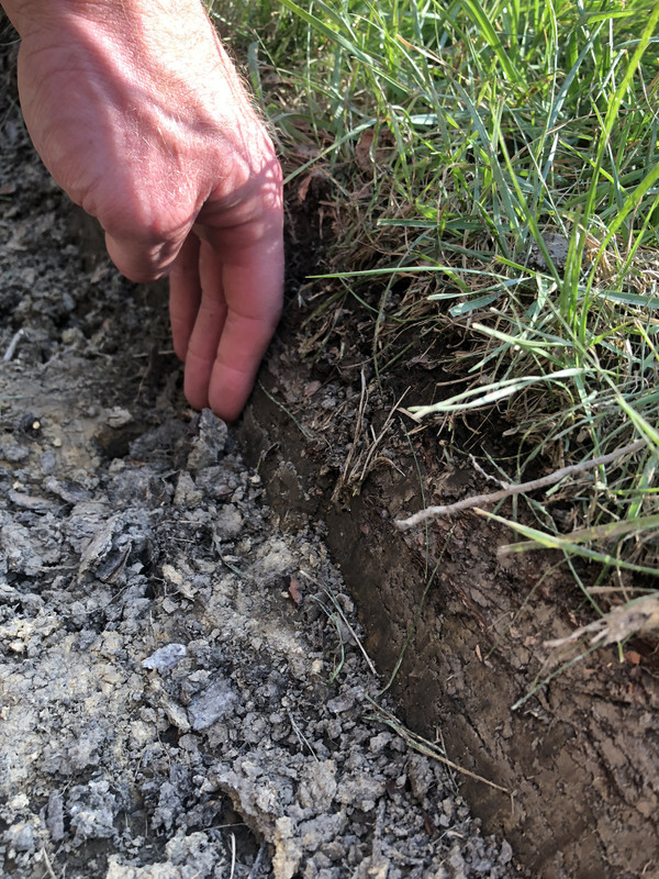 BD6ED319-DFE7-446B-B6E0-90AE83DF4661