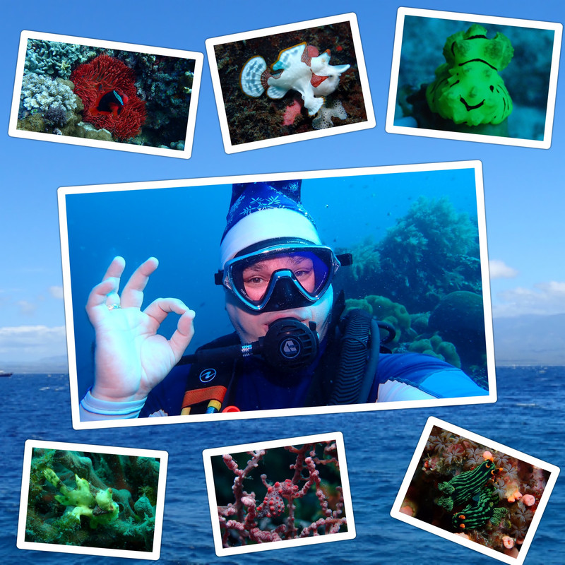 8EA6C552-27B0-4686-A9AE-00B7399AC2DE