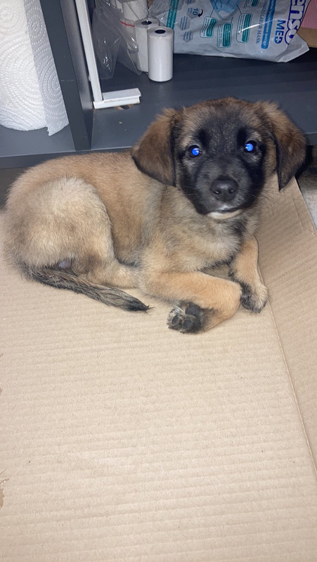 753F1559-2002-418E-B916-045AAB2369ED