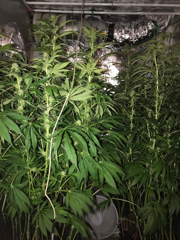 304FAA04-AE6E-483C-BBCC-C468B01D400A