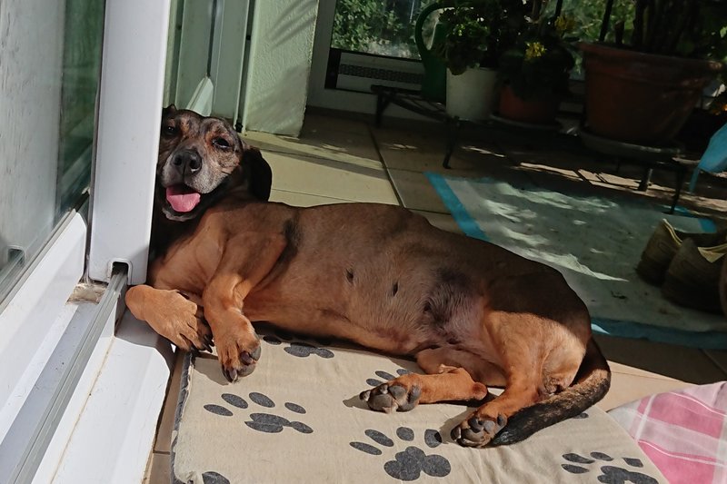 [Image: DSC-3819.jpg]