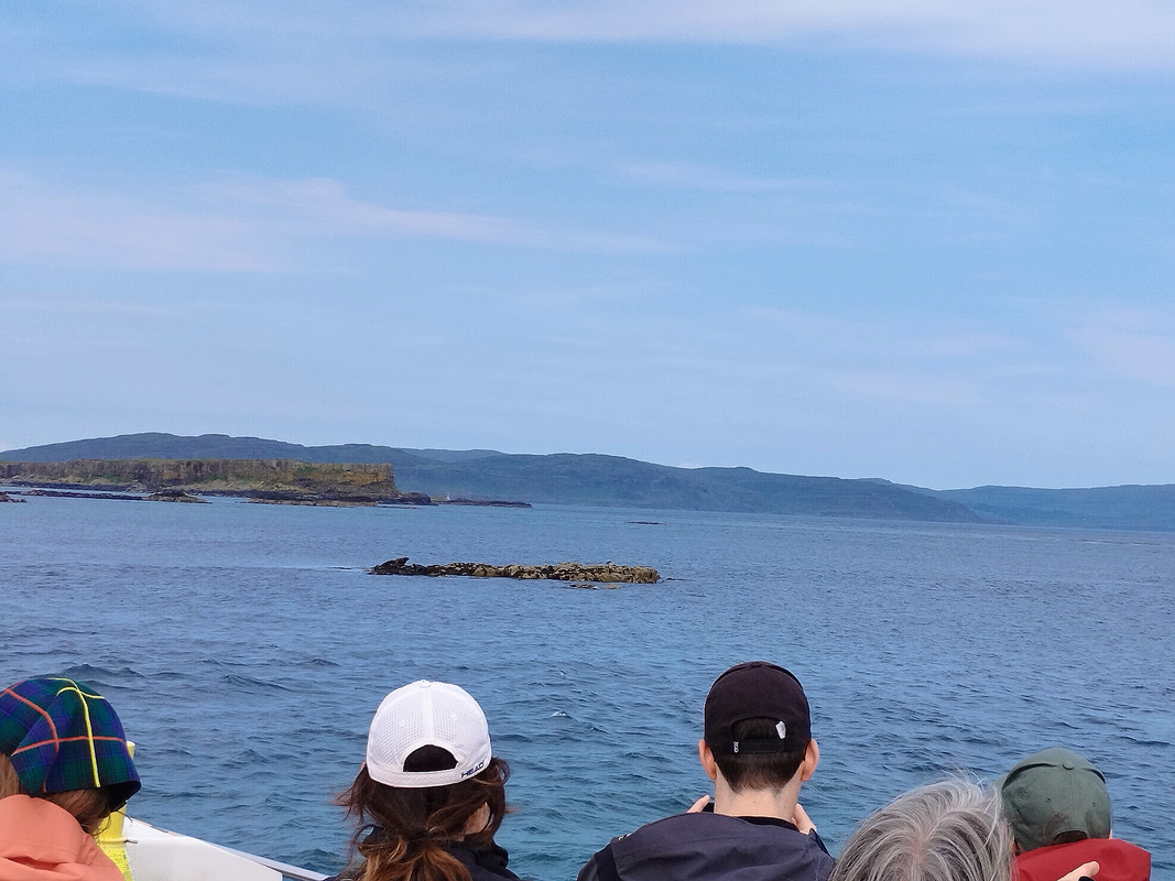 Segundo viaje a Escocia - Blogs de Reino Unido - Día 3 Día 3 Fionnphot - Staffa – Lunga – Tobermory (19)