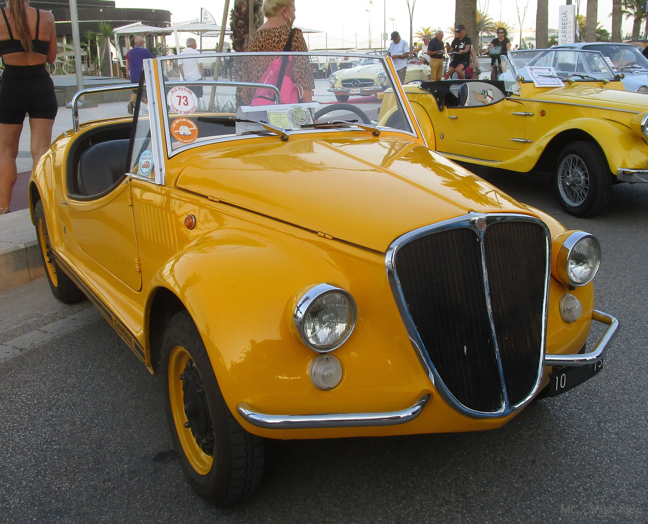 IMG-9084.jpg