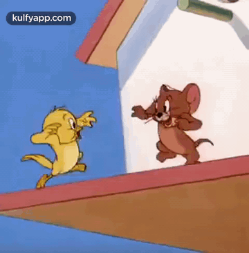 congratulationss-reactions.gif