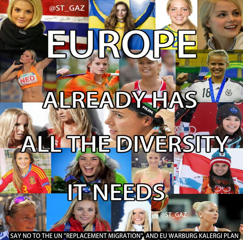 Memes sobre Multiculturalismo Europeo