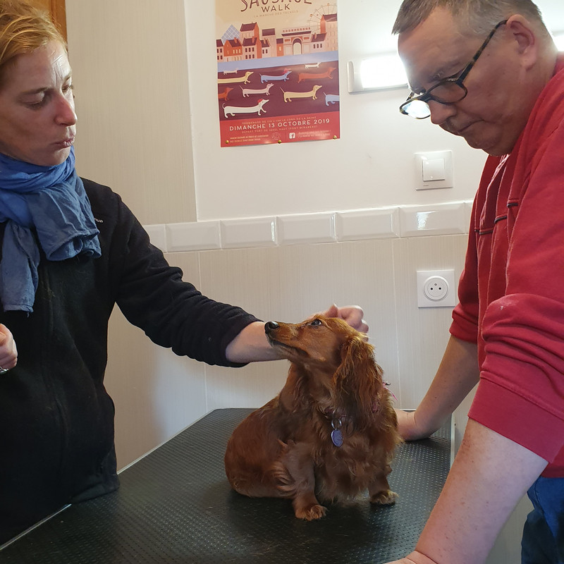 [Image: 20211103-160529.jpg]