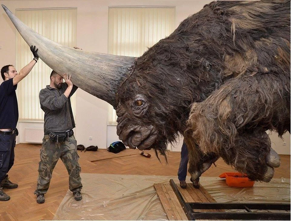 elasmotherium