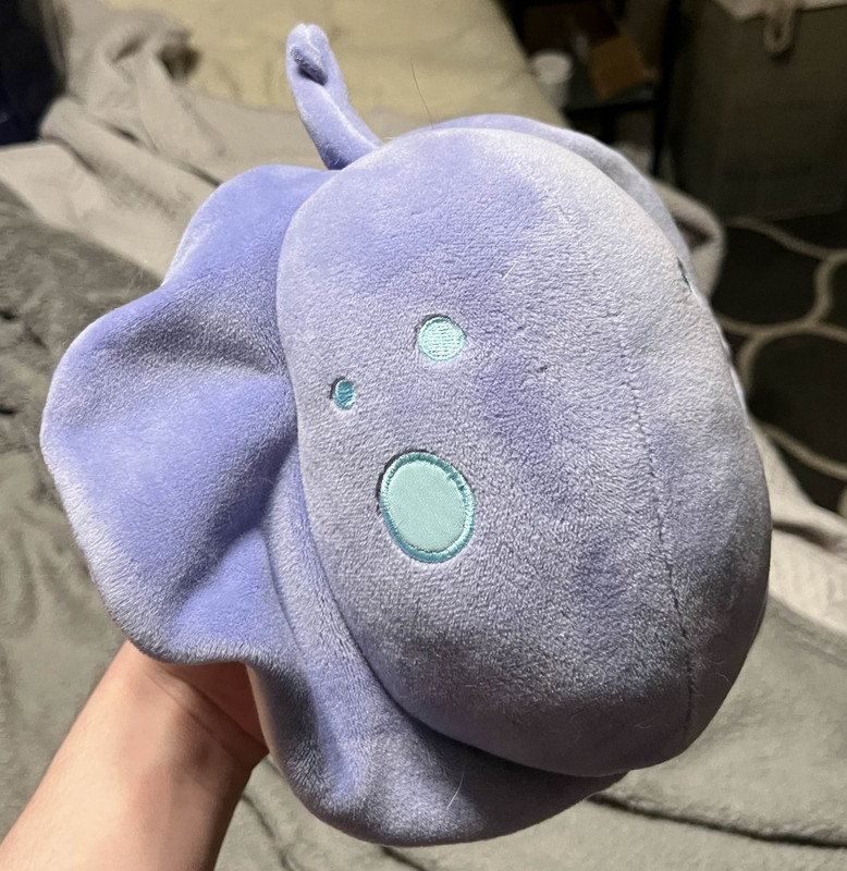 Small Stingray Plush from the top