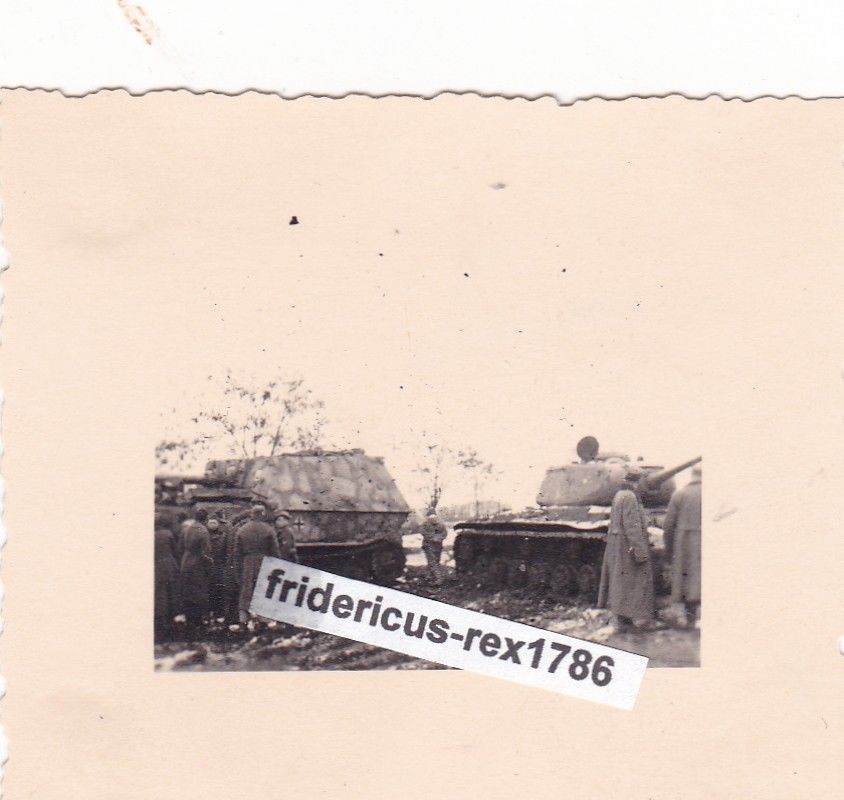 Foto Panzerjäger Tiger Panzer Tank Sd.Kfz. 184 Top Tarnanstrich 