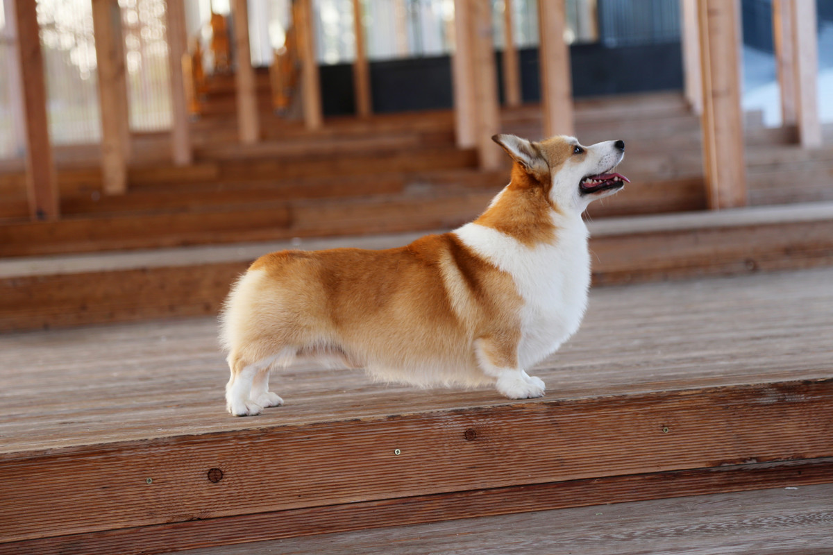 IMG_6089 3.07.21   О фотошопа