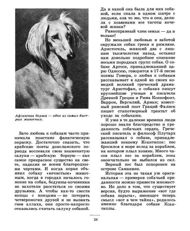 p0029