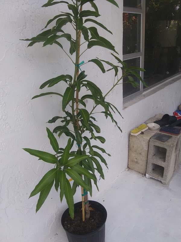 20190907_104951_Burst03